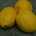 LEMONS 500G